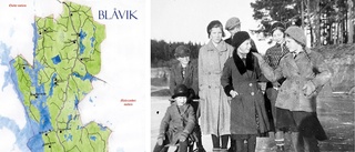 Historien om Blåvik – ett föredömligt monumentalverk för framtida lokalhistoria och en dröm för släktforskare
