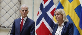 Sverige bistår Ukraina med spannmålskorridorer