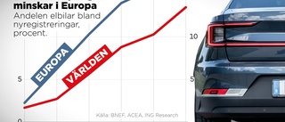 Krisen för elbilar – "snarare en anpassning"