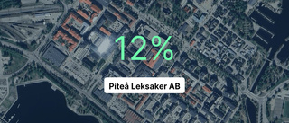 Piteå Leksaker AB: Redovisningen klar – så ser siffrorna ut