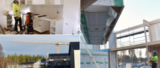 Nya lägenheterna som byggs i Kåge: Nu är de ute för bokningar • Så blir hyrorna