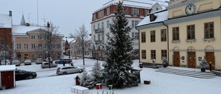 Så ser prognosen ut för julvädret: Blir det en vit jul?