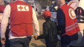 Rapport: Barn från IS-läger återanpassar sig väl