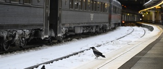 Snön smocka mot tågens punktlighet i november