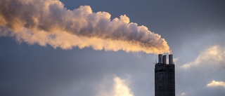 Nästan halva Klimatklivet till biogas i fjol