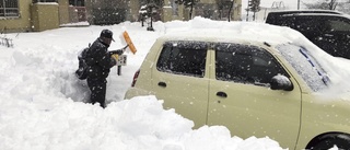 17 döda i japanskt snöoväder