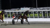 Grym årsdebut av Olly Håleryd