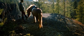 Skogen på Åberget får stå kvar