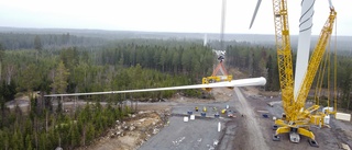 Nu vill Hultema vindkraftspark i Tjällmo ha vindstilla
