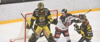Vimmerby Hockey möter Halmstad borta i sista grundserieomgången • Följ matchen här