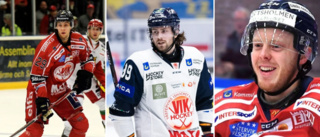 Sporten rankar de 50 bästa spelarna under VIK:s säsonger i Hockeyallsvenskan – här är plats 50-41 • Spelade bara två matcher • Bildade klassisk kedja