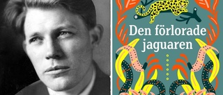 Martinsons ratade kapitel hade lyft ”Jaguarens” rykte