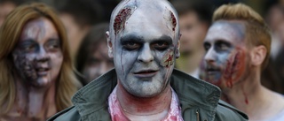  Sverige behöver färre zombieföretag