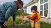 Förskolläraren om deras klimatsatsning: "Vi måste börja med barnen" • Naturnära dagar ska ge barnen framtidstro