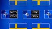 Okritisk Nato-hyllning i Eskilstuna-Kuriren