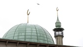 Socialtjänsten motarbetas av moskéer