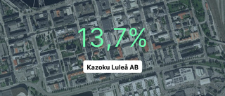 Kazoku Luleå AB redovisar marginal som slår branschsnittet