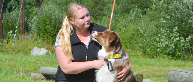 Hundar och förare från hela landet tävlar i Skellefteå 