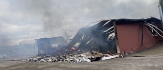 Över 17 000 höns döda – kraftig brand i större hönshus i Linghem