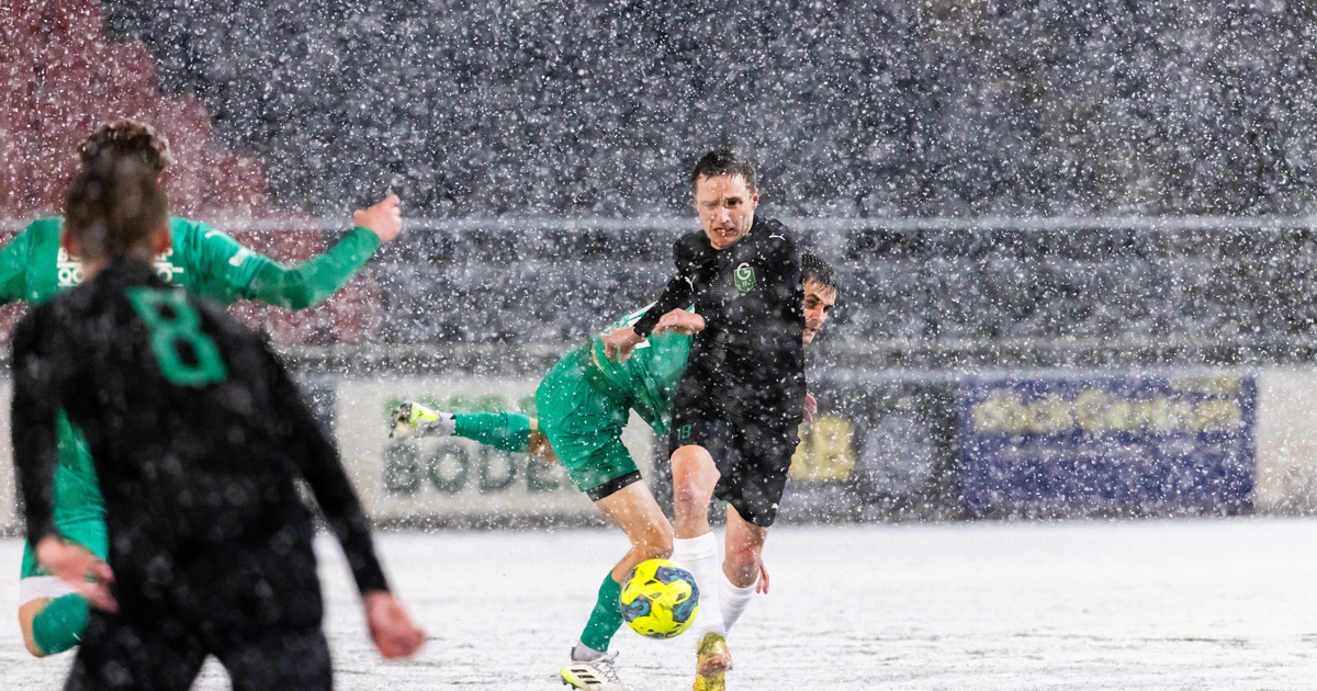 Får ta smällen för snökaoset: ”Vi har inte råd med det”