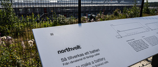 Fyra till sjukhus efter gasolycka på Northvolt