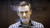 Navalnyjs fru: Vet inte om jag ska tro på det