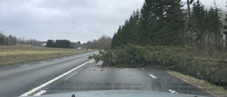 Kraftiga vindar i Sörmland skapade problem på vägarna
