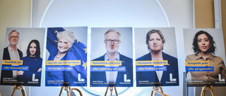 EU kan göra mer för Norrbotten