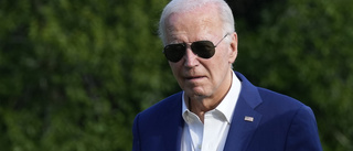 Biden vädjar om fullt stöd från Demokraterna