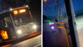 Buss krockade med två älgar i Linköping
