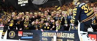 Gold rush: Get the Skellefteå AIK party started in Guldtorget
