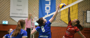 Stort kliv för Skellefteå Volley — klara för kval 