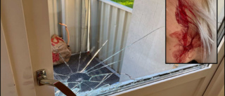 Dömd våldsverkare tog sig in genom kvinnans sovrumsfönster