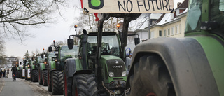 "Tyska böndernas dieselprotester kapade"