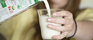 ”Ersätt mjölk med vatten i skolan – barnen blir tjocka”