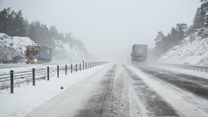 Bandvagnar redo i snökaoset