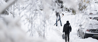 Snö och blåst väntar Sveriges kusttrakter