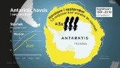Antarktis havsis har krympt med tre Sverige