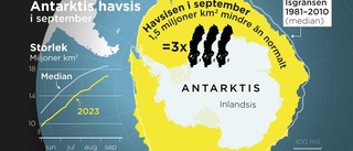 Antarktis havsis har krympt med tre Sverige