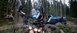 Skogsmaskiner förstörde unikt gravfynd