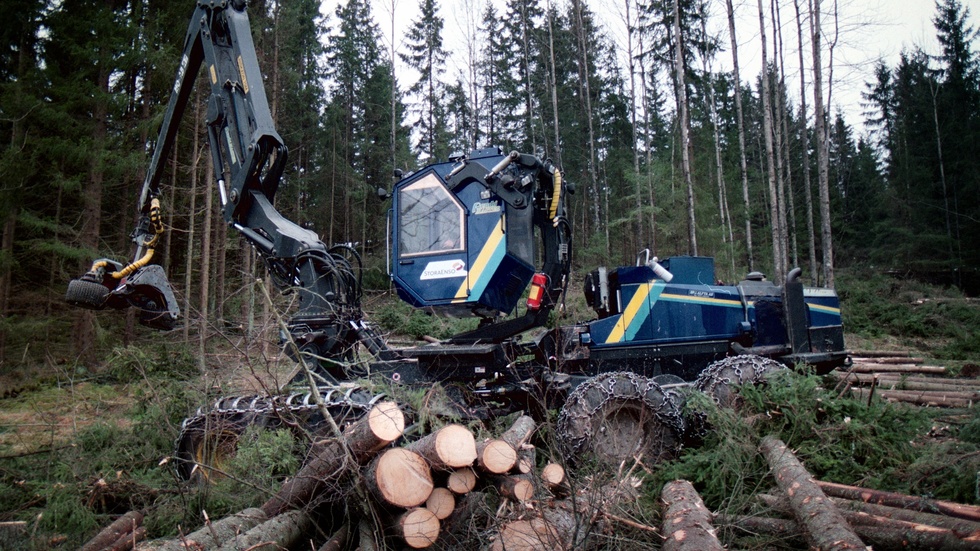 Arkeologer i Norrbotten upprörs över att fem gravar från tidigare stenåldern blivit kraftigt förstörda av skogsbruksmaskiner. Arkivbild.