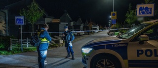 Misstanken: Linköpingspojke mördade två kvinnor och en pappa