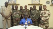 EU och FN kräver att Nigers president friges