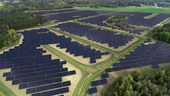 Jättesatsningen: Här planeras för 70 000 solcellspaneler