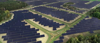 Jättesatsningen: Här planeras för 70 000 solcellspaneler