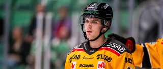 Efter oväntade beskedet – därför skiljs Luleå Hockey och Pasic åt