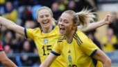 Nytt avtal kan rädda Sveriges VM-uppladdning