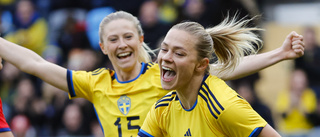 Nytt avtal kan rädda Sveriges VM-uppladdning