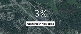 Ucb Sweden redovisar resultat som pekar uppåt