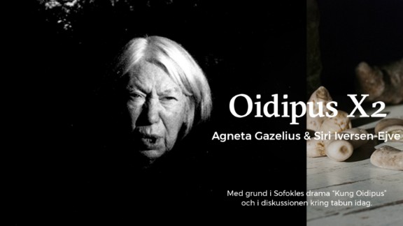 Konstnärssamtal med Siri Iversen-Ejve och Agneta Gazelius